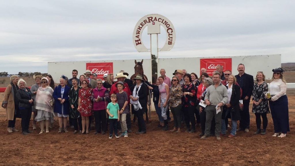 A Punters Guide to The Hawker Cup